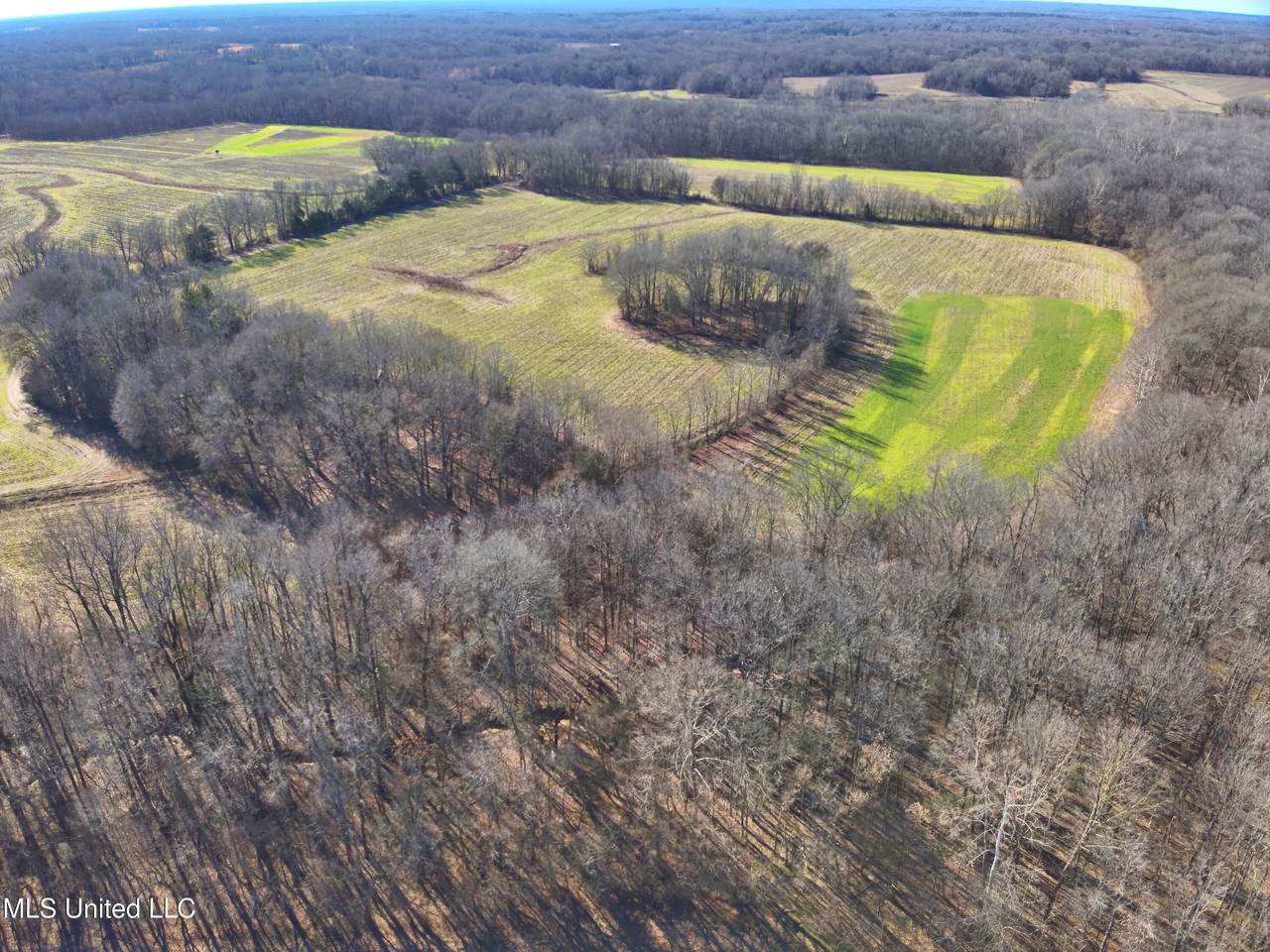 577 Black Jack Road - Photo 1