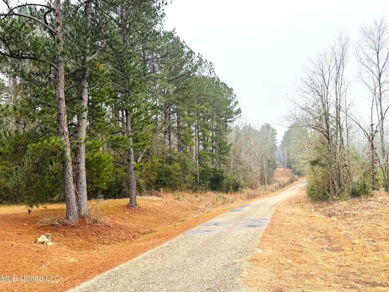 https://bt-photos.global.ssl.fastly.net/united/1280_boomver_1_4139697-2.jpg
