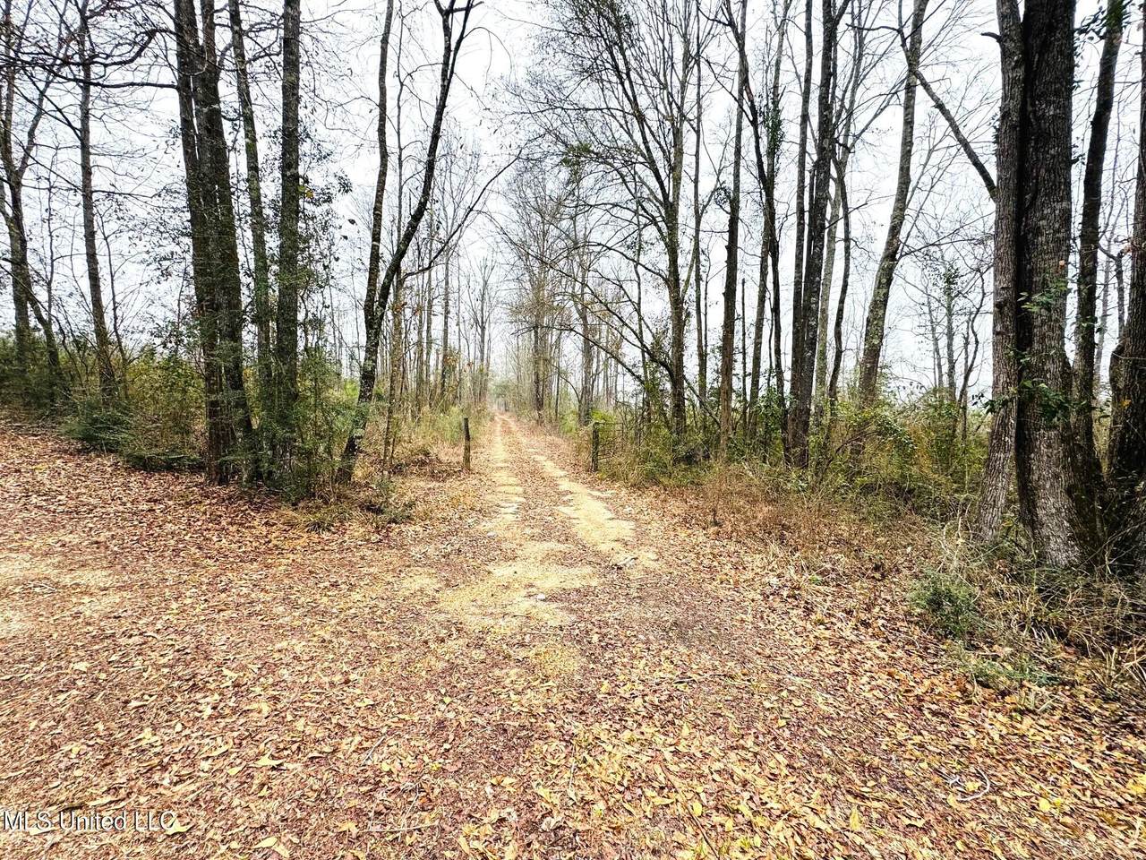04 Sidney Ellzey Road - Photo 1