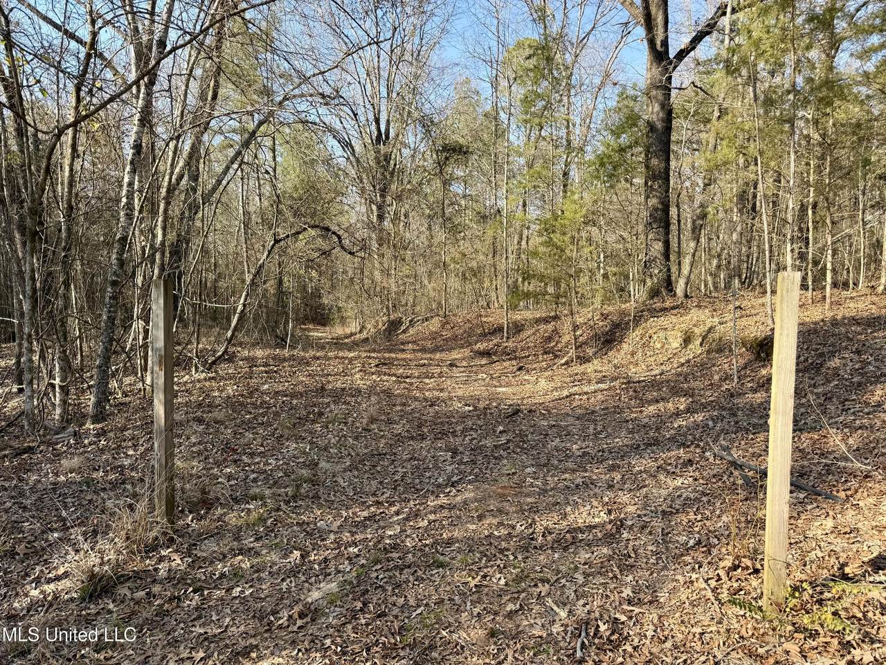  Attala Rd 4136 - Photo 1