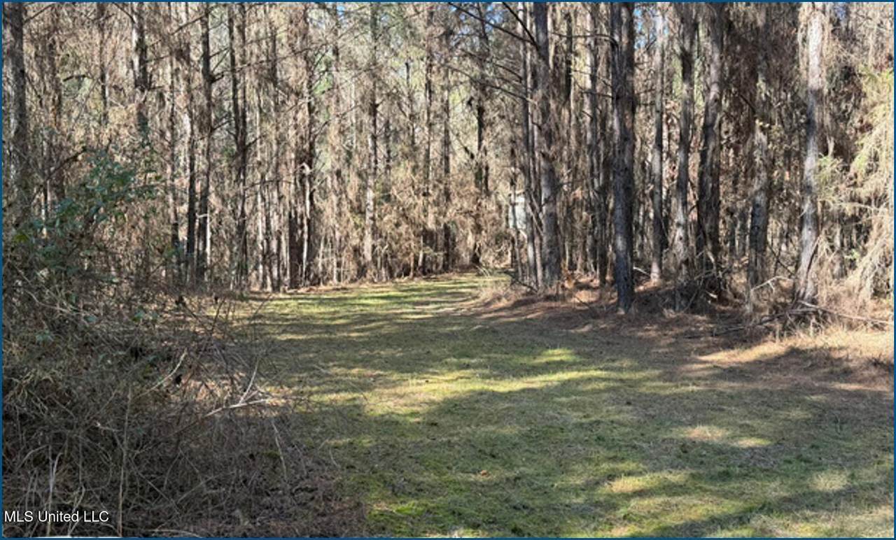  County Road 2257 - Photo 1