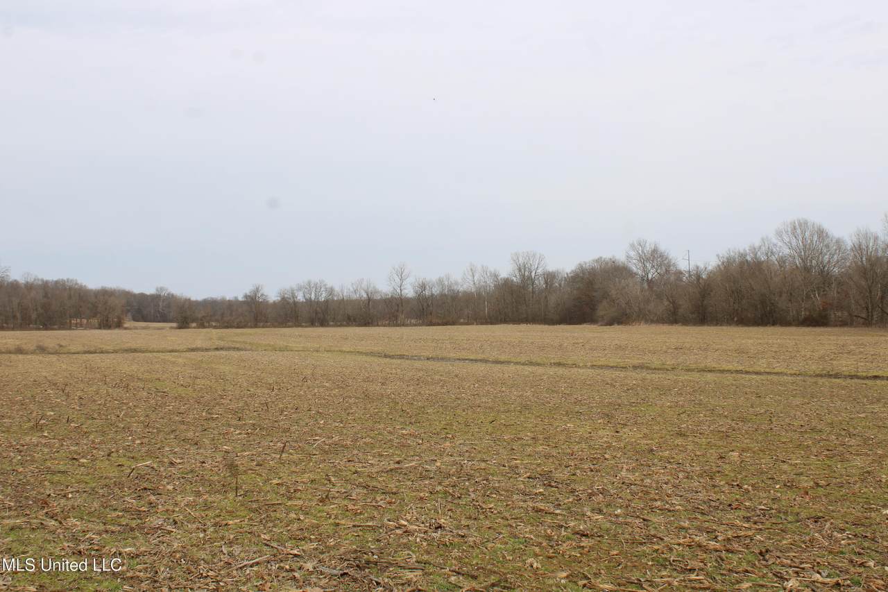6000 Austin Road - Photo 1