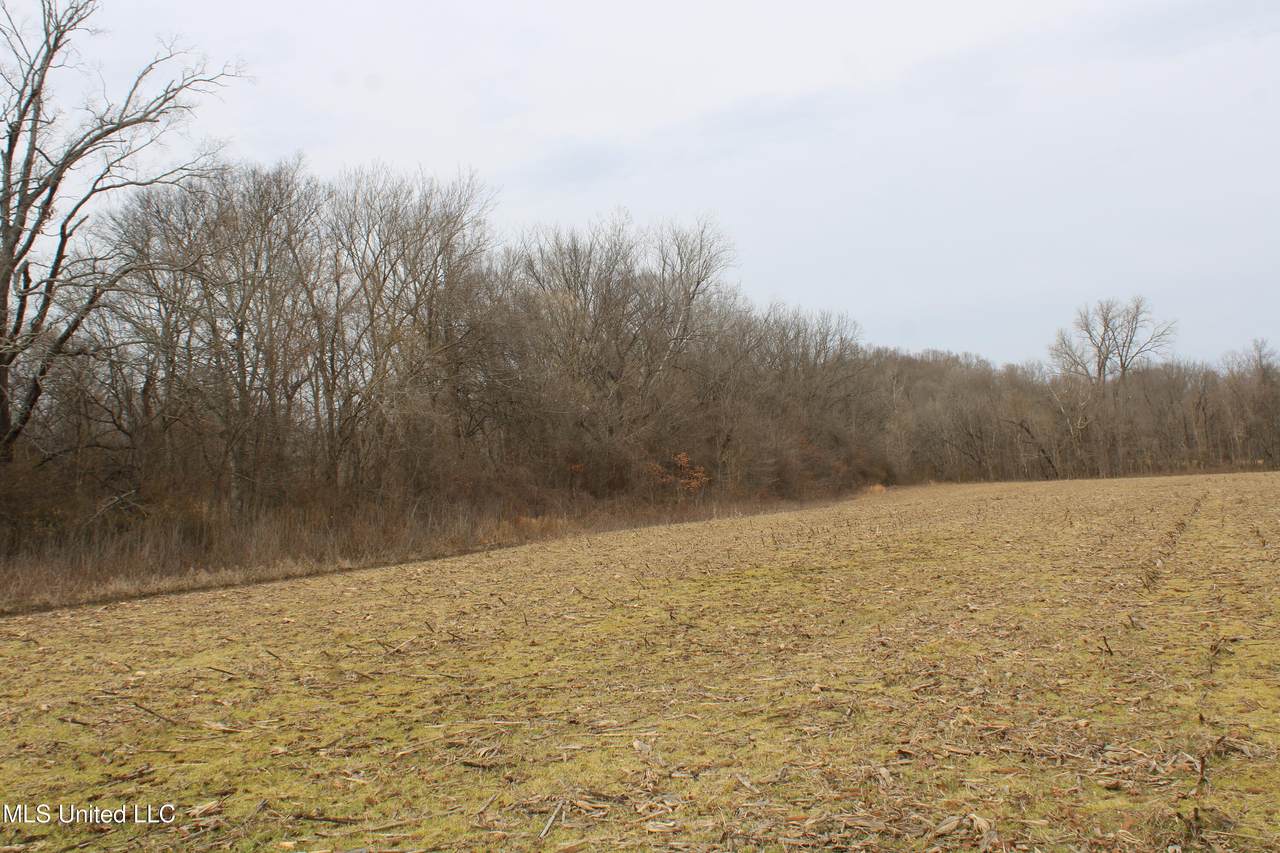 https://bt-photos.global.ssl.fastly.net/united/1280_boomver_1_4139906-2.jpg