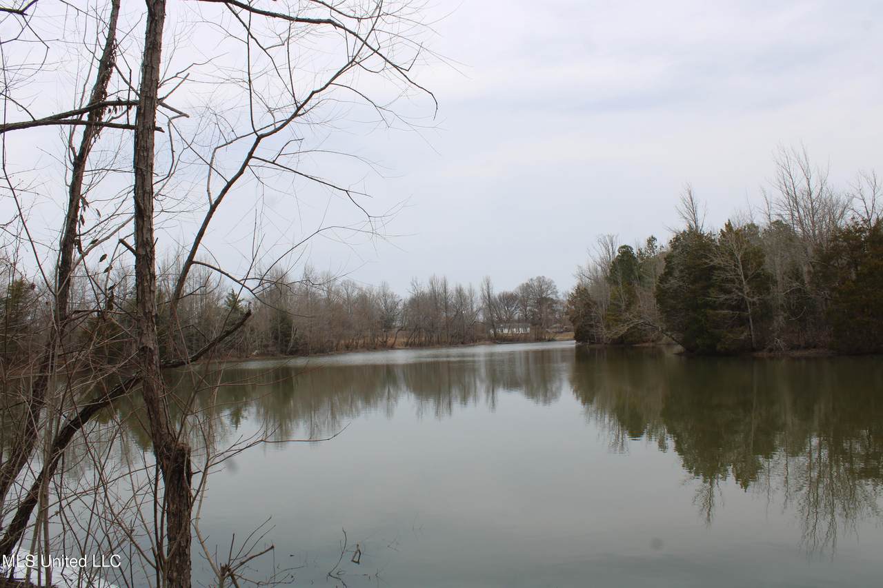 4325 Highway 301 - Photo 1
