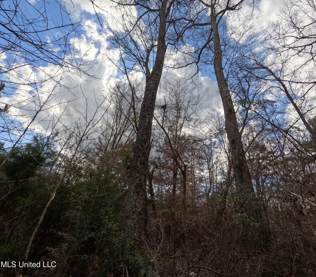 https://bt-photos.global.ssl.fastly.net/united/1280_boomver_1_4140000-2.jpg