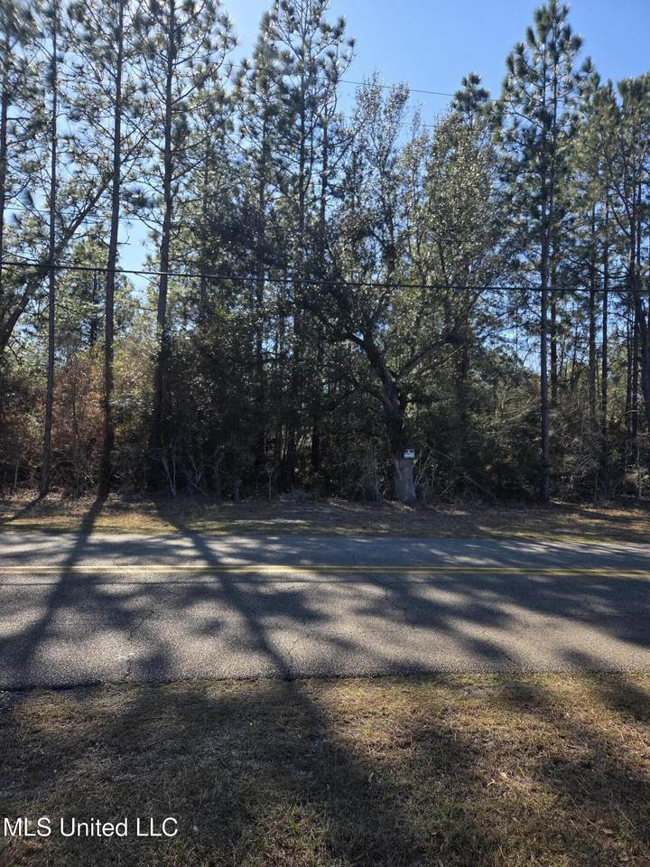  Lake Cypress Drive - Photo 1