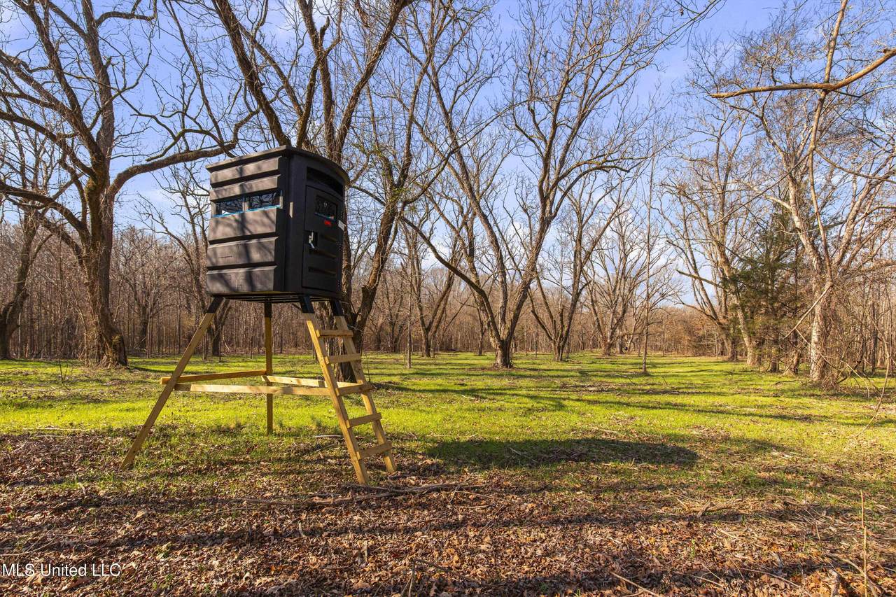 0186 Potluck Road - Photo 1