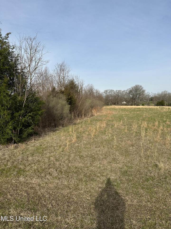  Highway 469 - Photo 1
