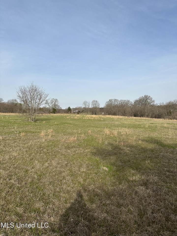  Highway 469 - Photo 1