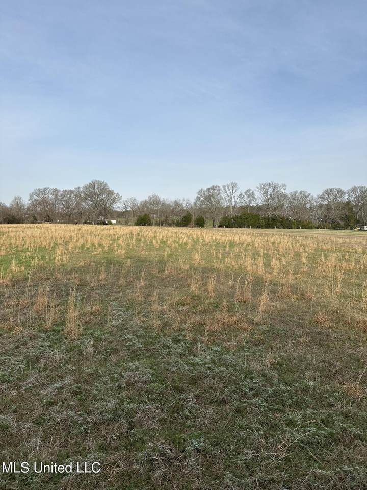  Ms-469 - Photo 1