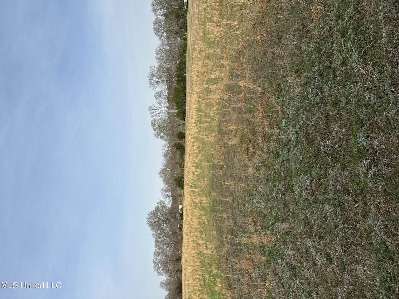  Ms-469 - Photo 1