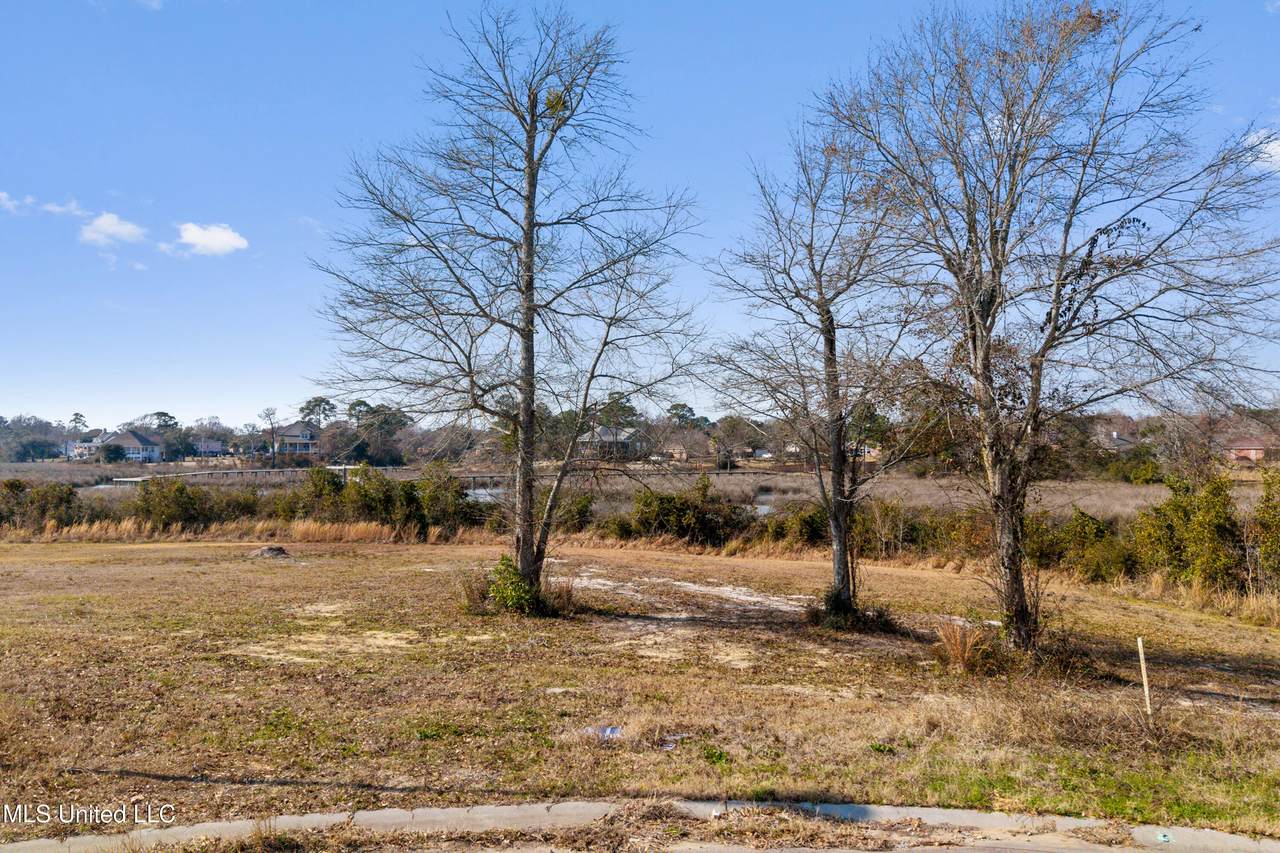 Lot 12 Wetzel Drive - Photo 1