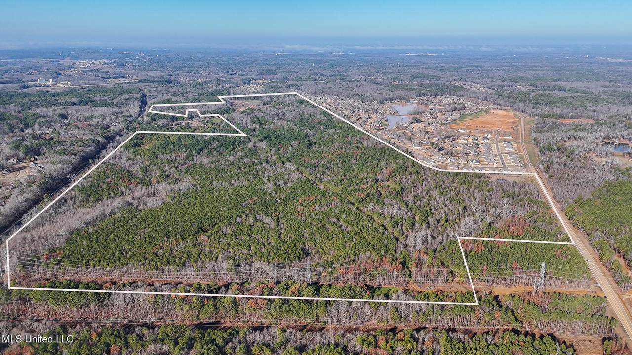  0 Grants Ferry Parkway - Photo 1