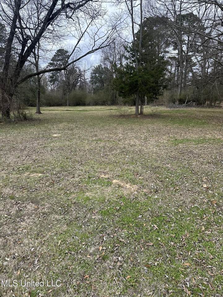 1141 Highway 51 - Photo 1