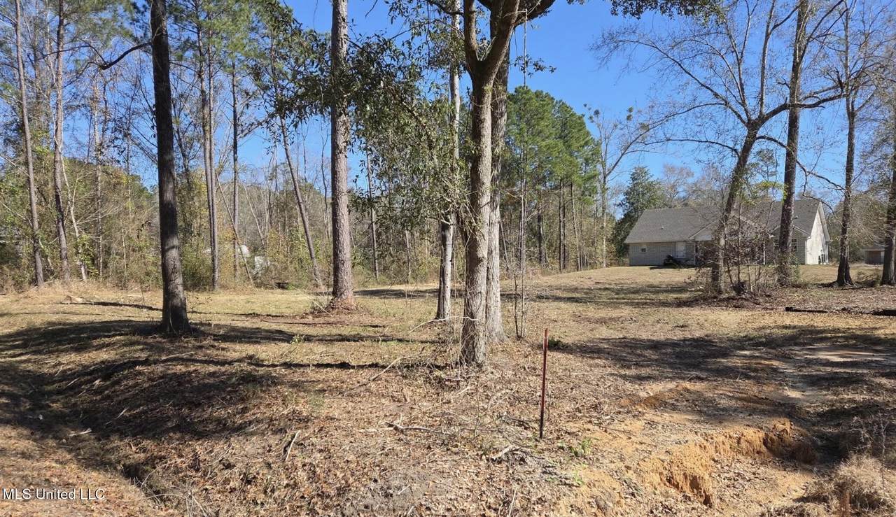 Lot 8-9 Cypress Drive - Photo 1