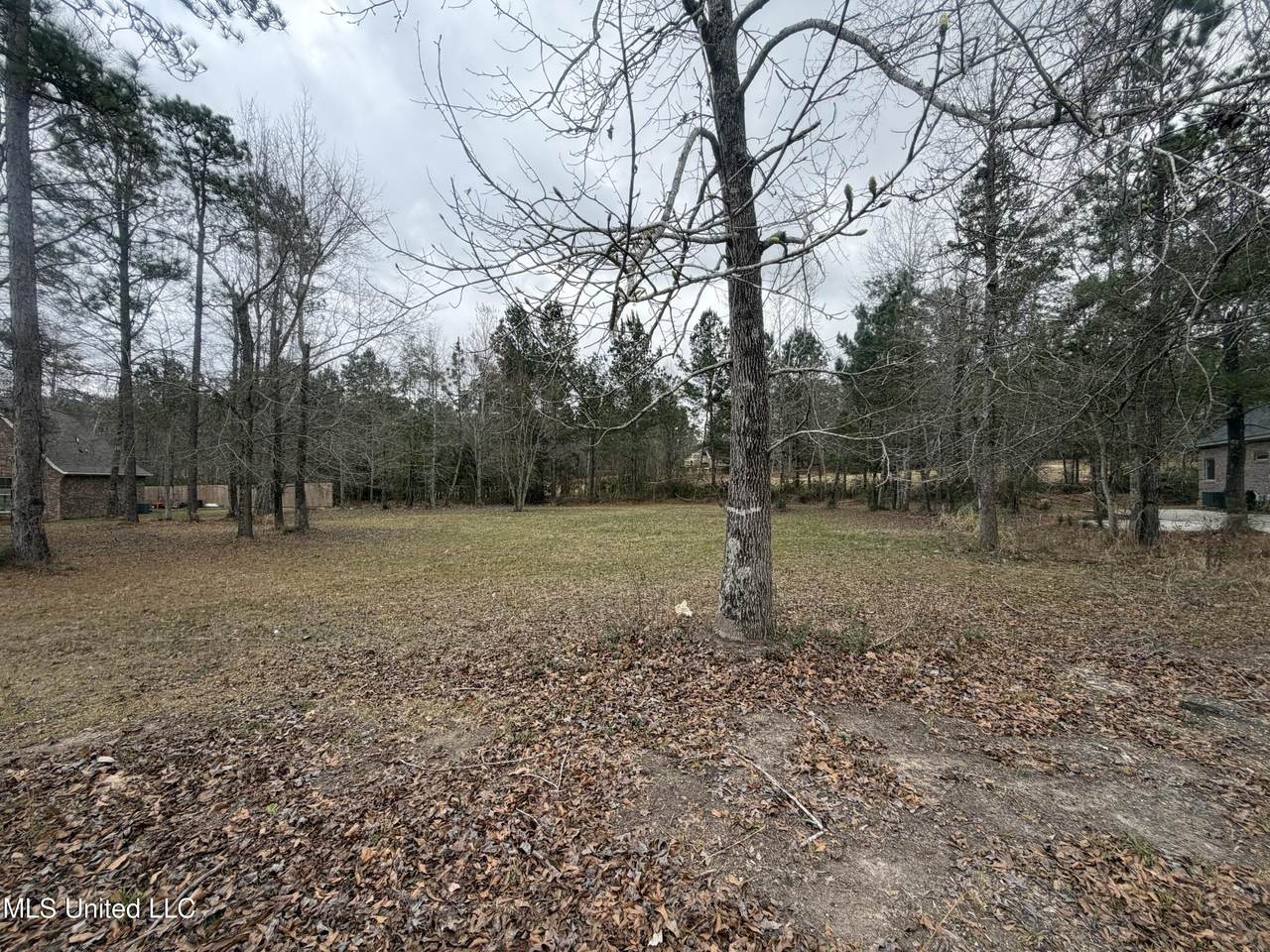 https://bt-photos.global.ssl.fastly.net/united/1280_boomver_1_4140563-2.jpg