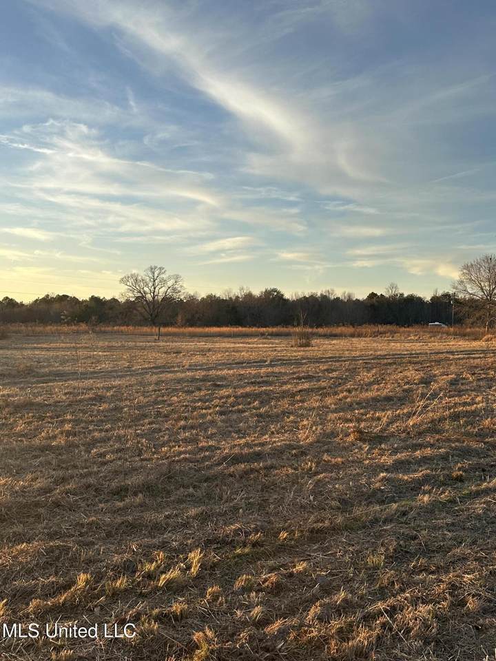 000 Ovelle Lee Road - Photo 1