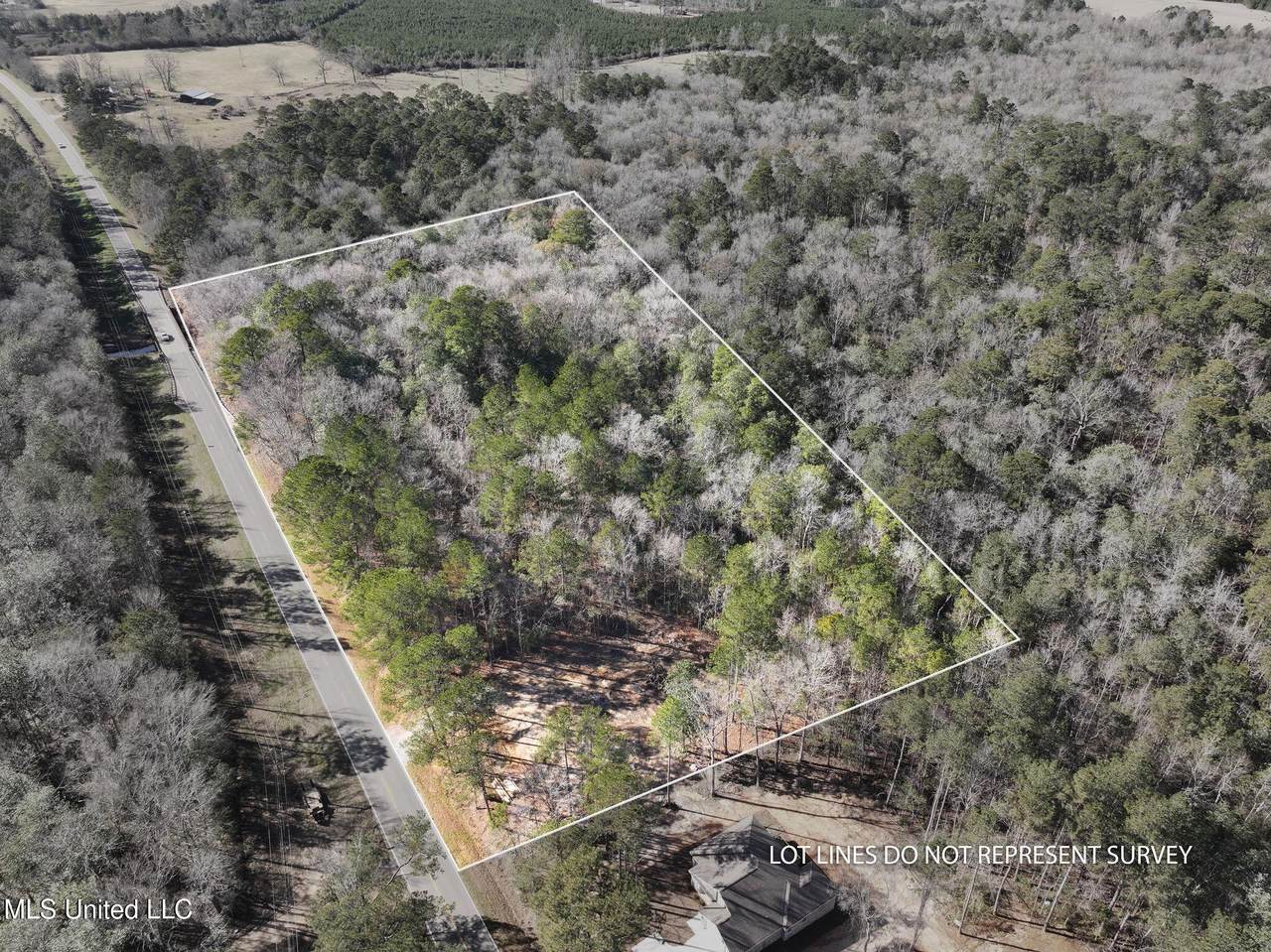 7.21 Acres Ms-44 - Photo 1