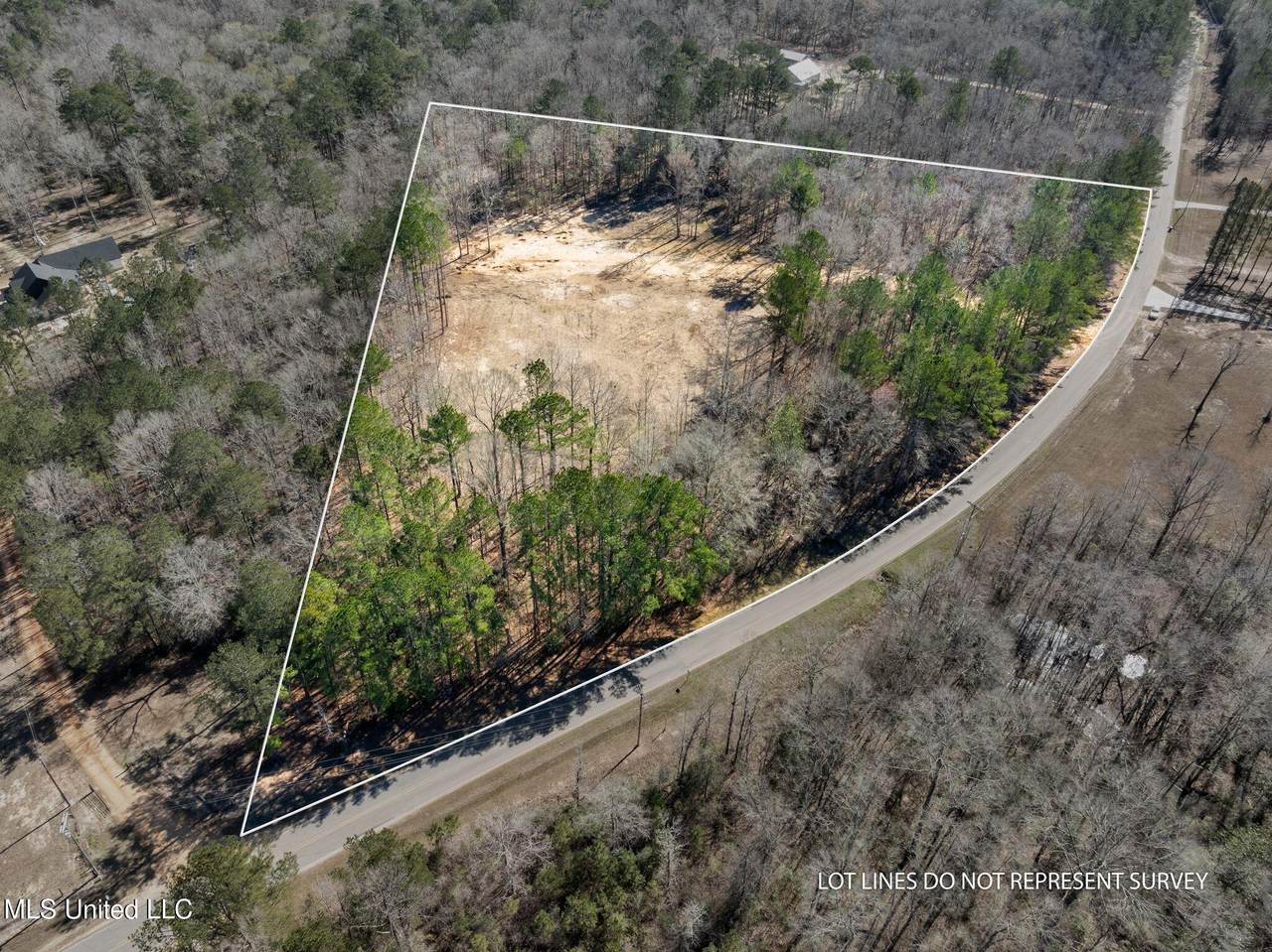 7.26 Acres Lott Town Road - Photo 1