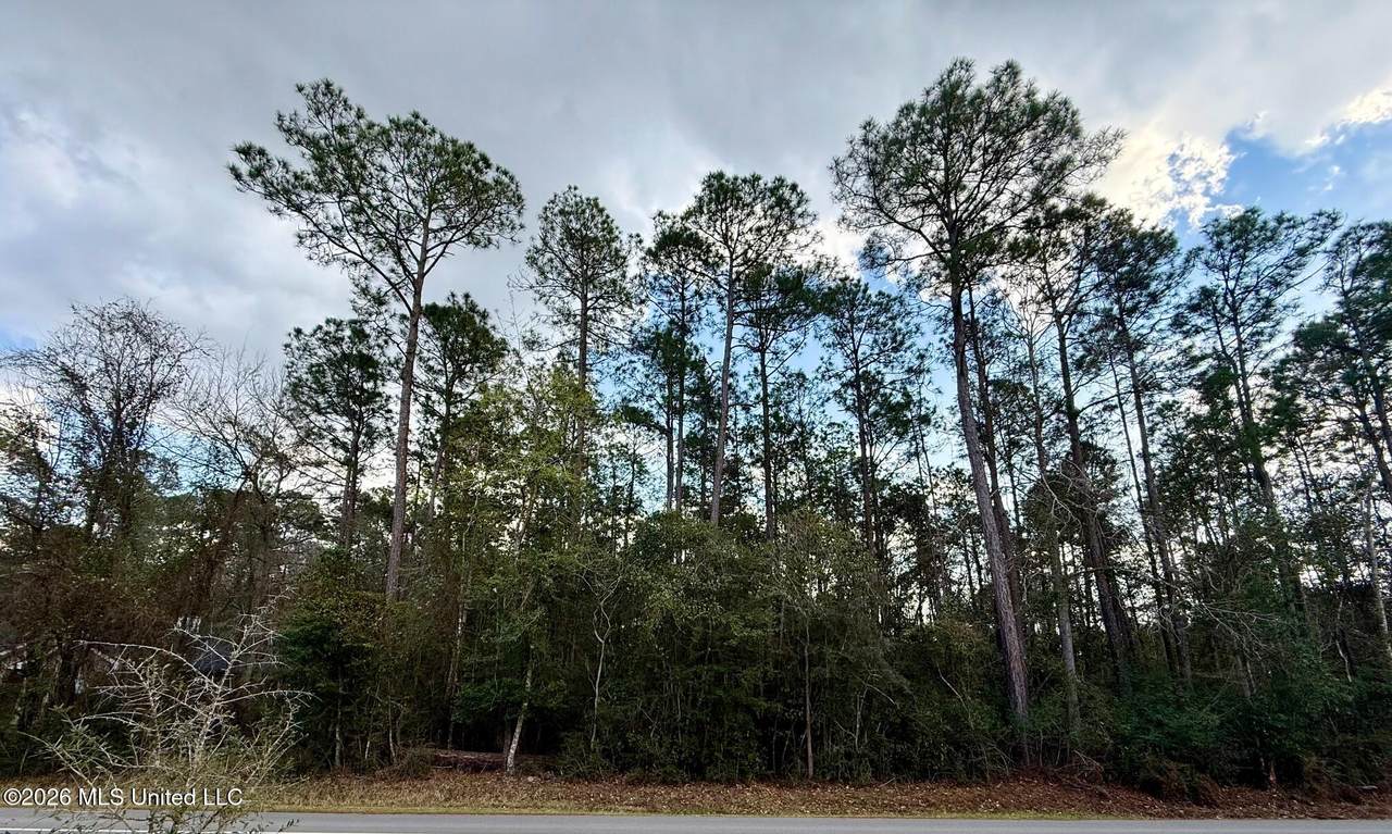 85537 Diamondhead Drive - Photo 1