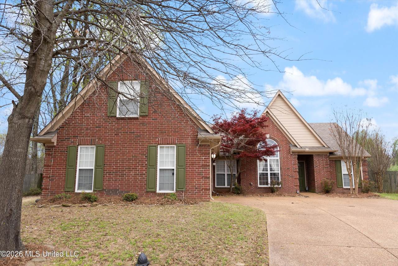 7843 Randolph Cove - Photo 1