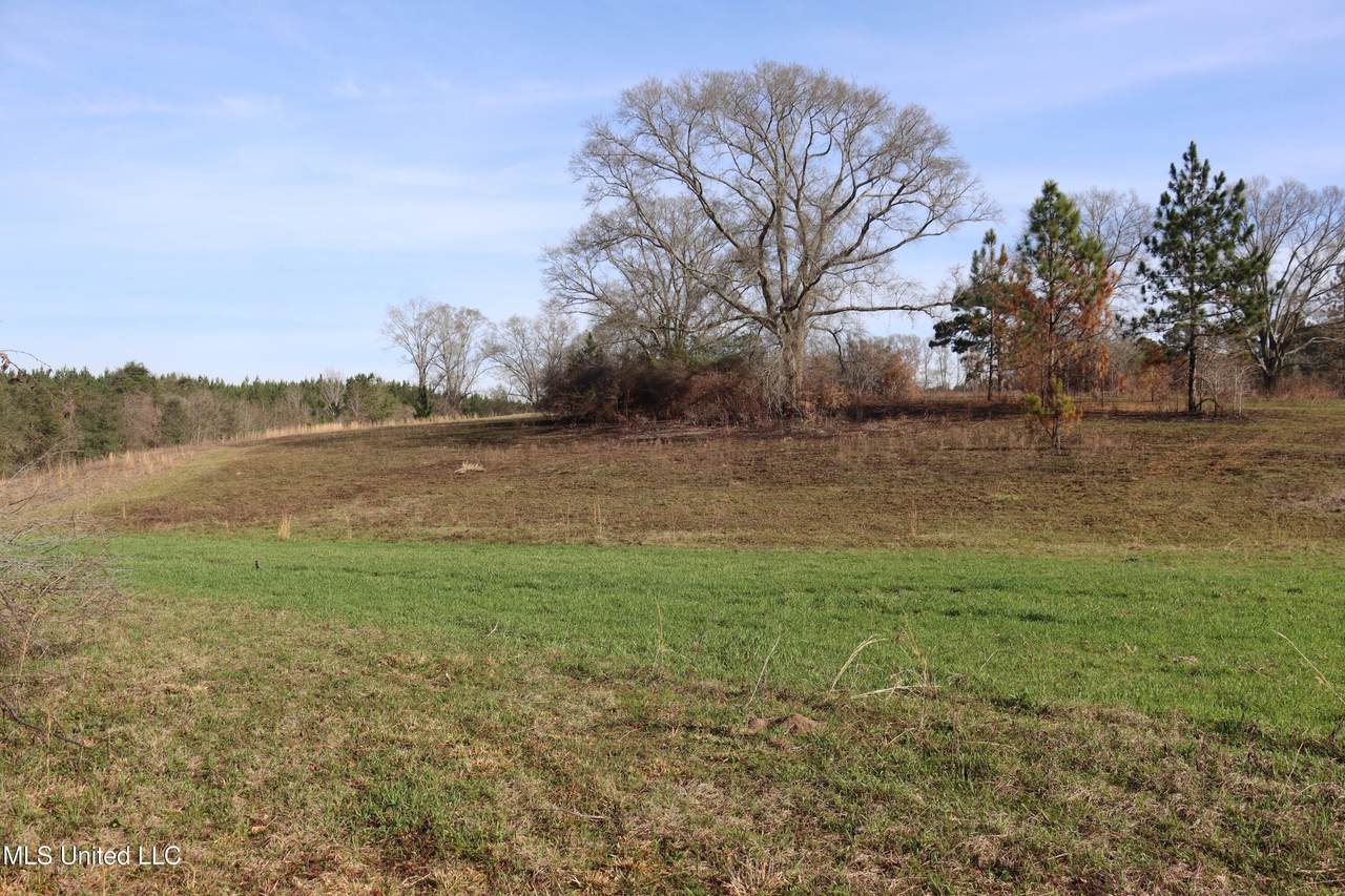1270 Hilt Fornea Road - Photo 1