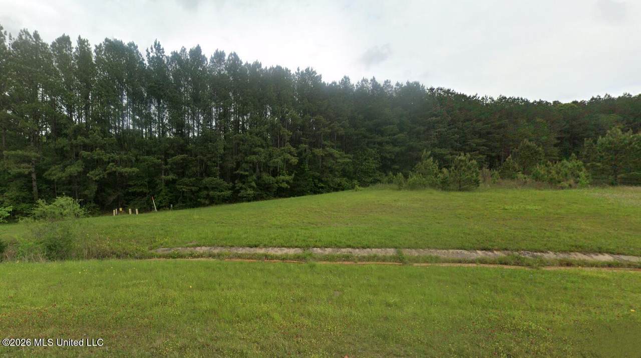  Highway 45N - Photo 1