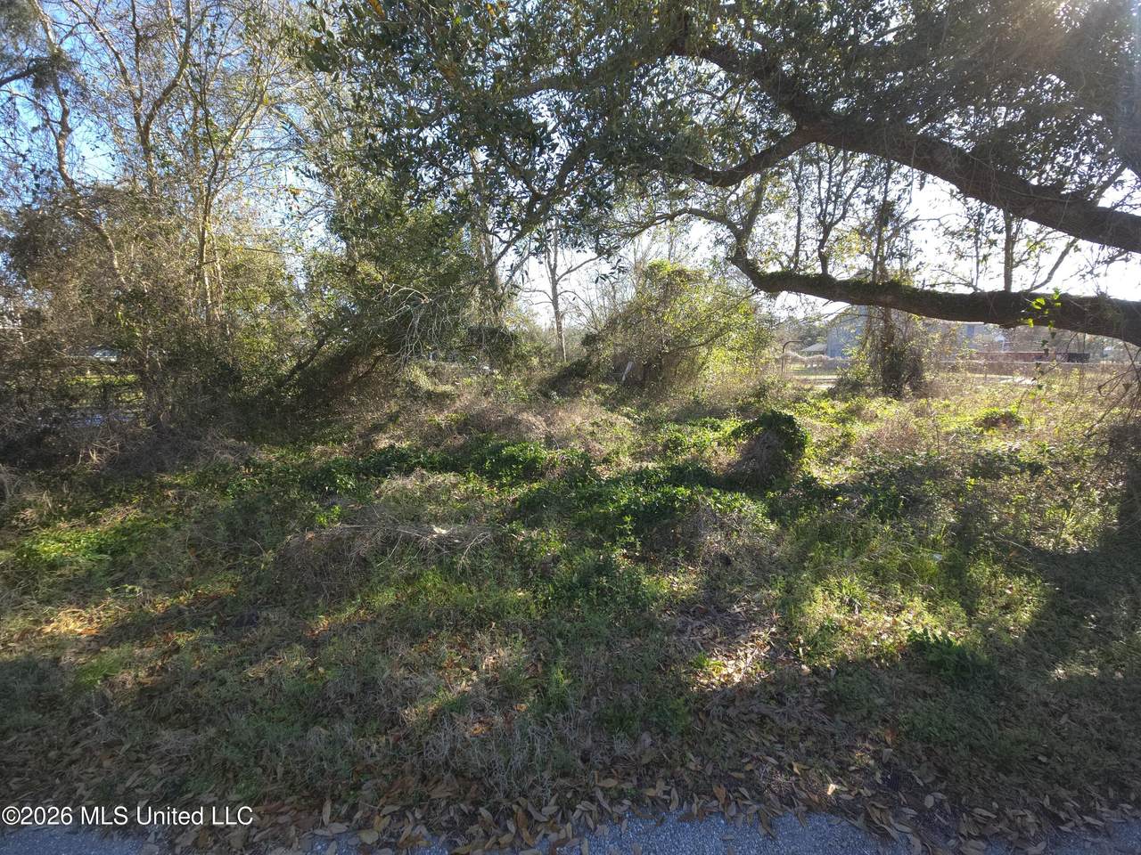 0 Hunter Avenue - Photo 1