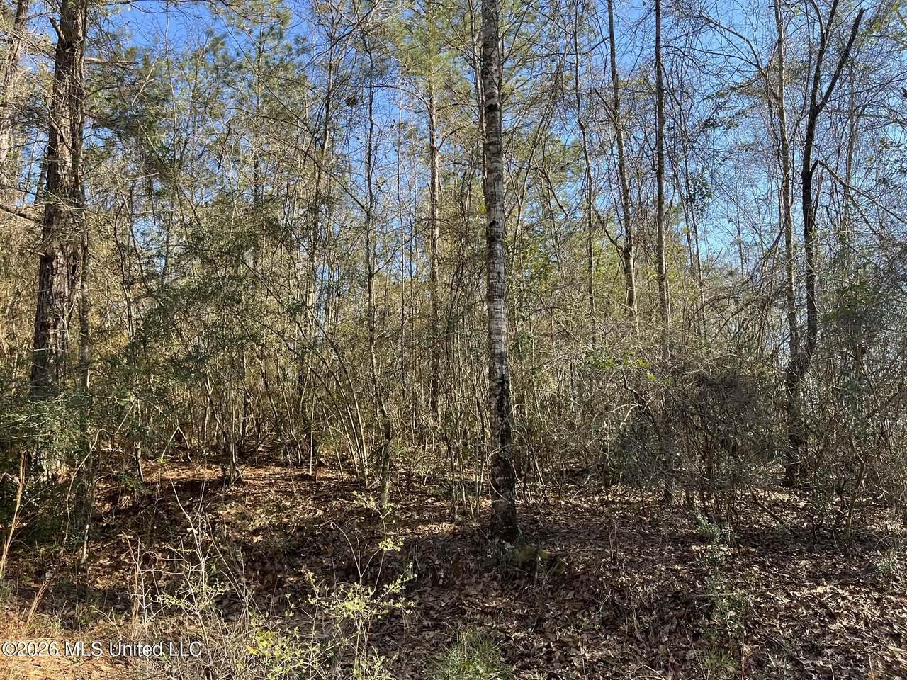 Lot197 Woodland Drive - Photo 1