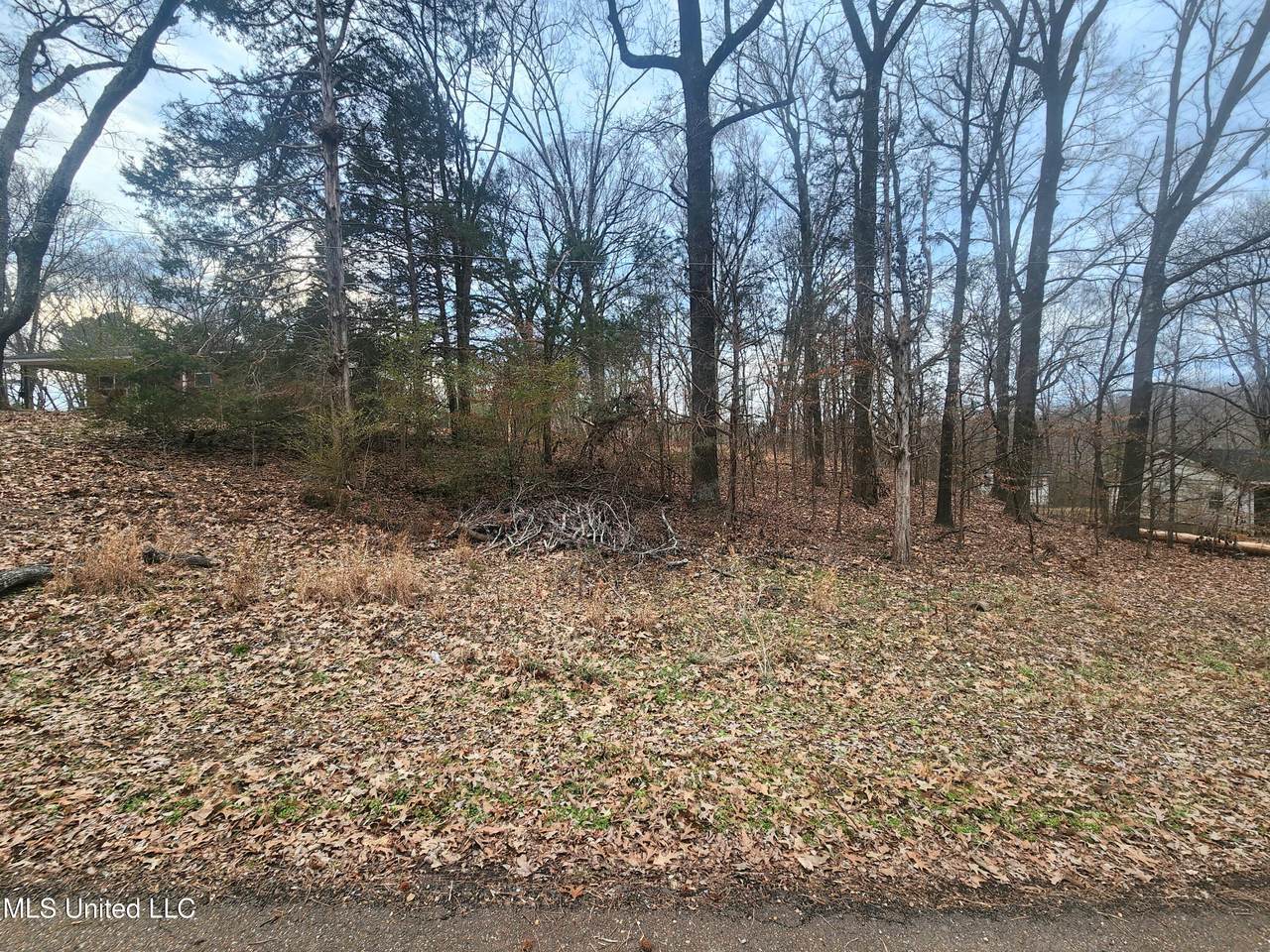  Jackson Road - Photo 1