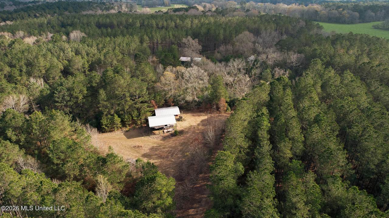 Frog Ridge Road - Photo 1