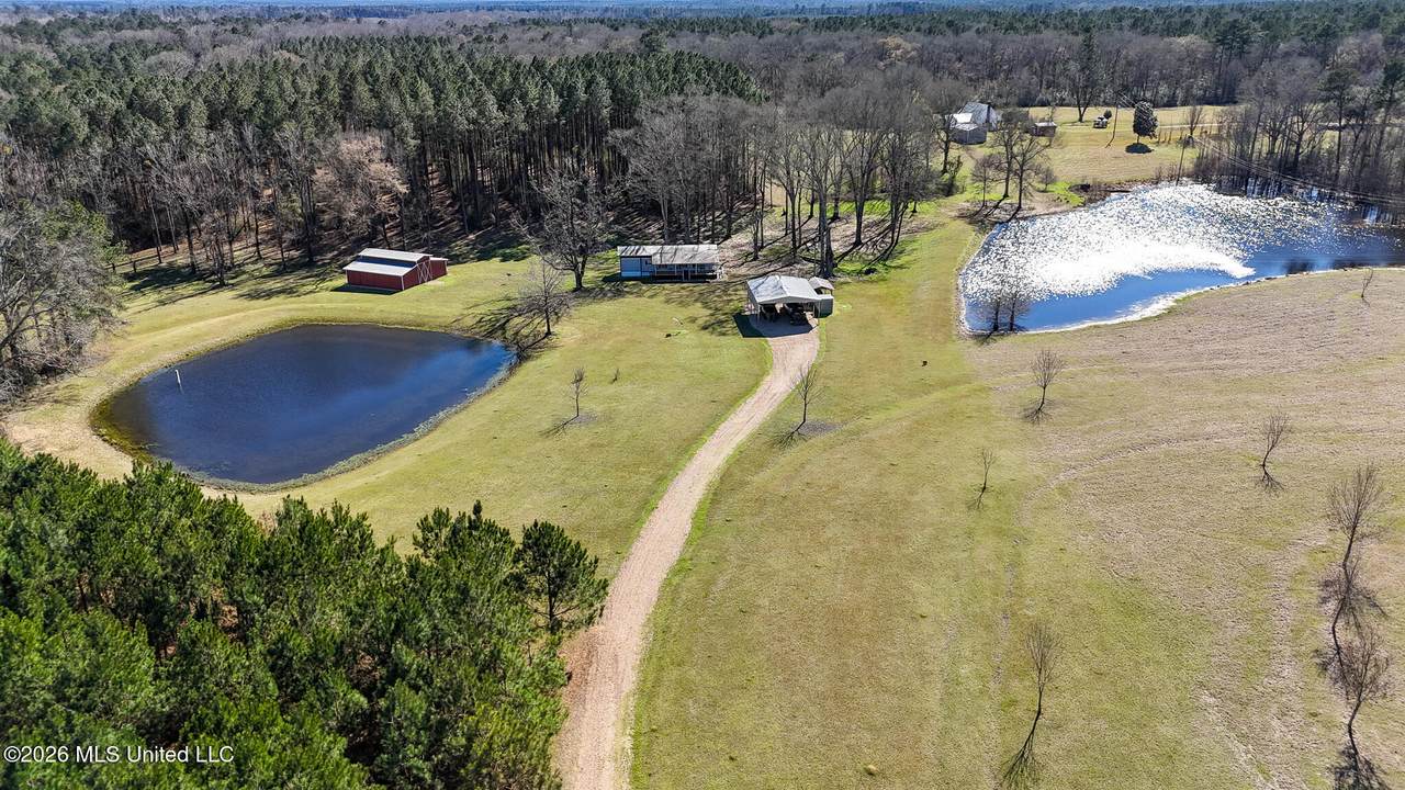 5192 Bean Road - Photo 1