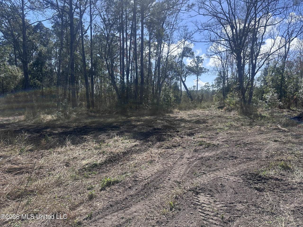  Orange Grove Road - Photo 1