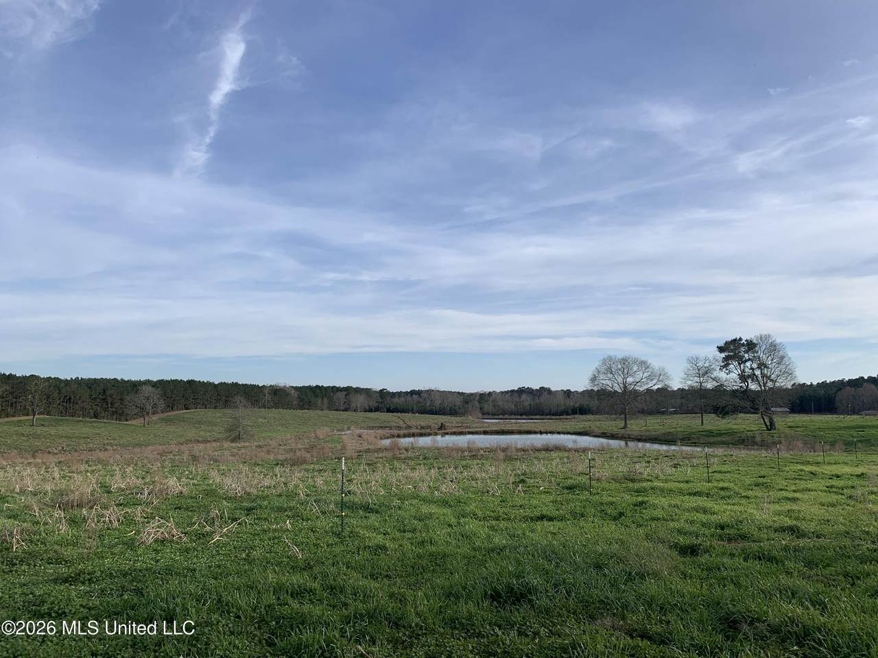 79 Adron Boyd Road - Photo 1