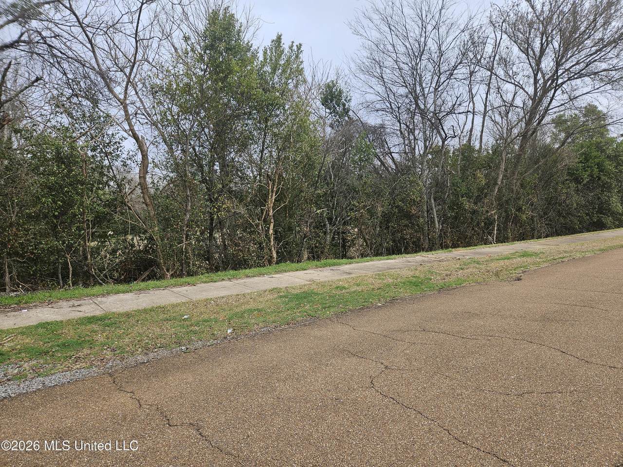 309 Bob D Williams Lane - Photo 1