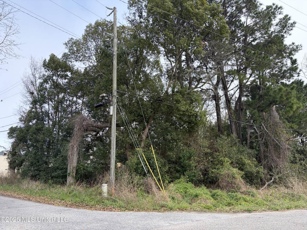 205 2nd Avenue - Photo 1