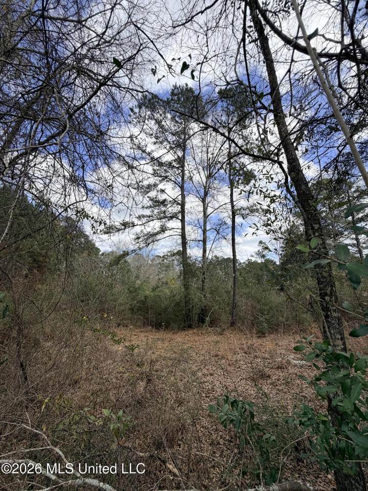Tbd Joel Lang Road - Photo 1