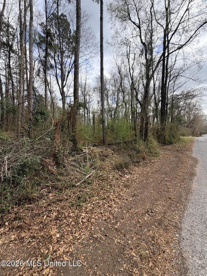 03 Gibson Road - Photo 1