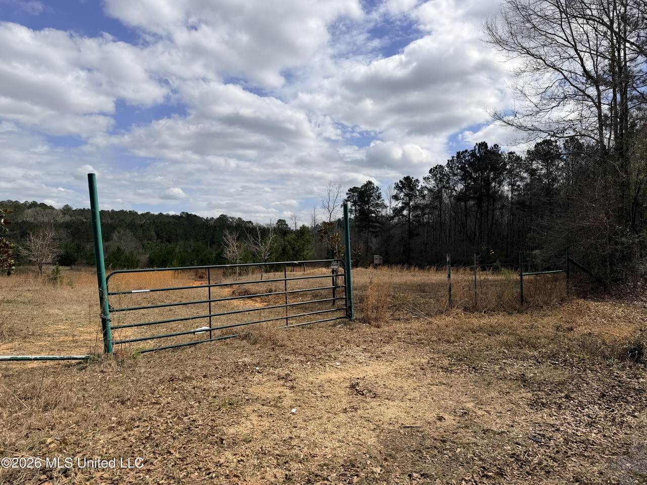 4056 Gibson Road - Photo 1