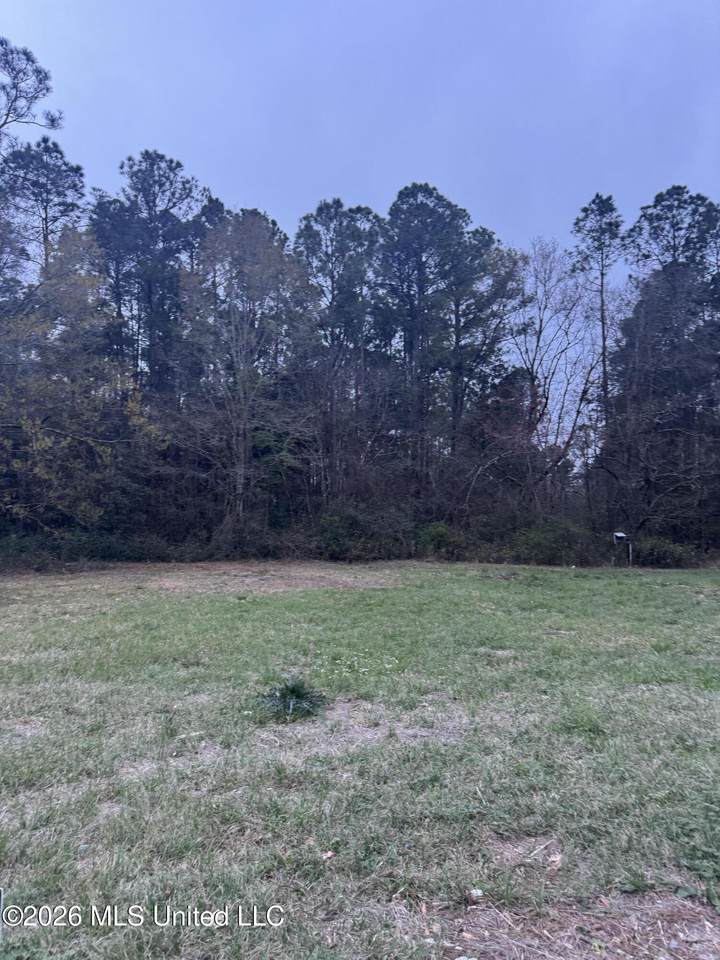  Deidra Court - Photo 1
