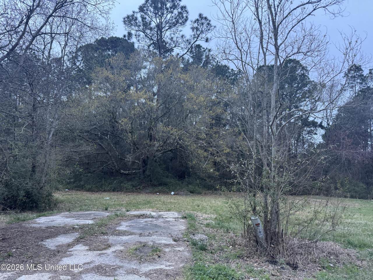  Deidra Court - Photo 1