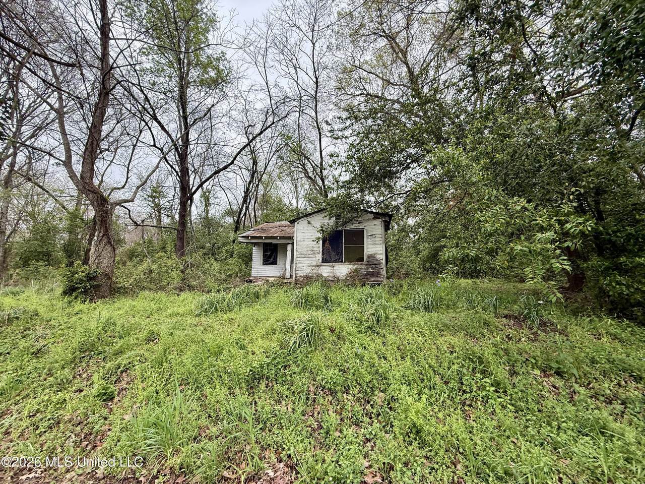 486 Stiers Lane - Photo 1