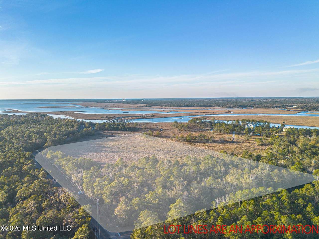 14.96 Acres Arcadia Farm Road - Photo 1