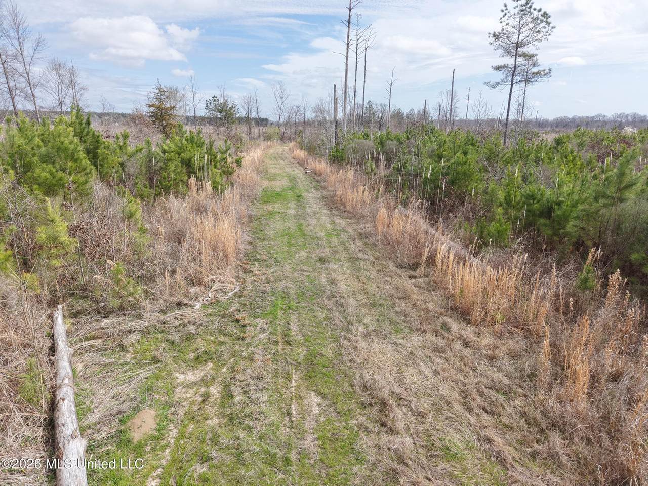 002 Reed Road - Photo 1