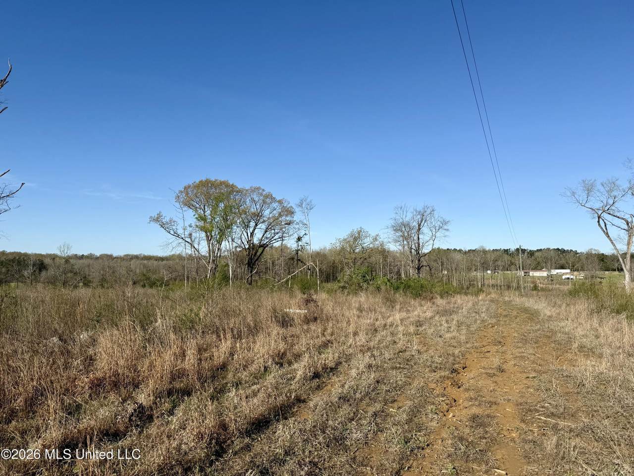 385 Vanarsdale Road - Photo 1