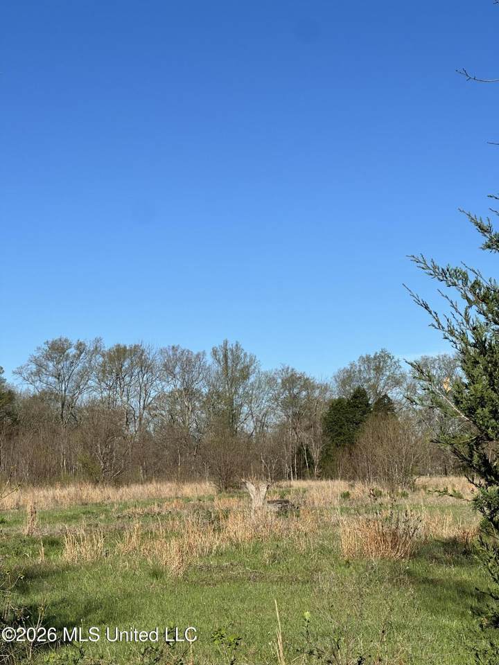  Ms-469 - Photo 1