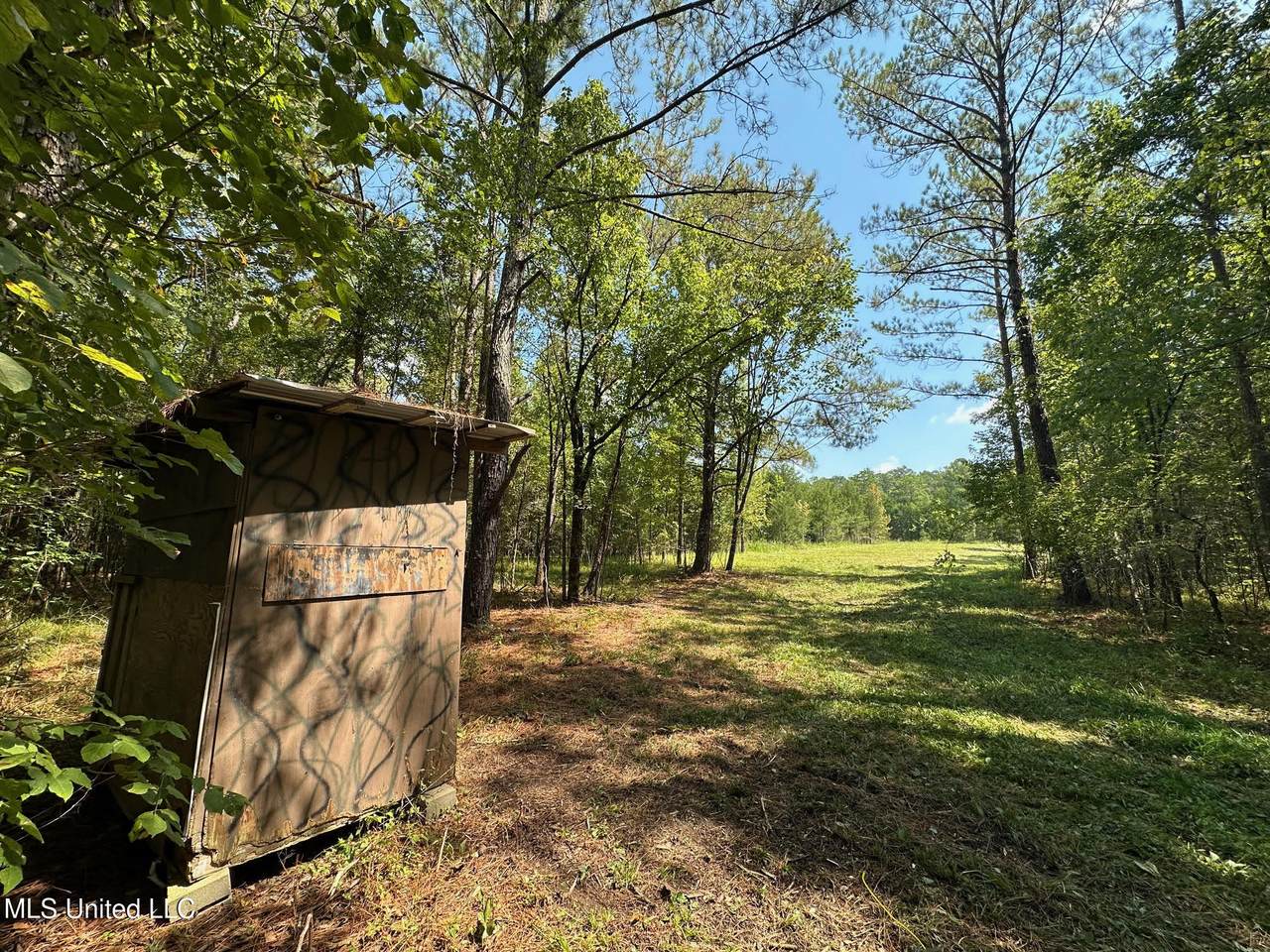 2 Forest Service Road 562 - Photo 1