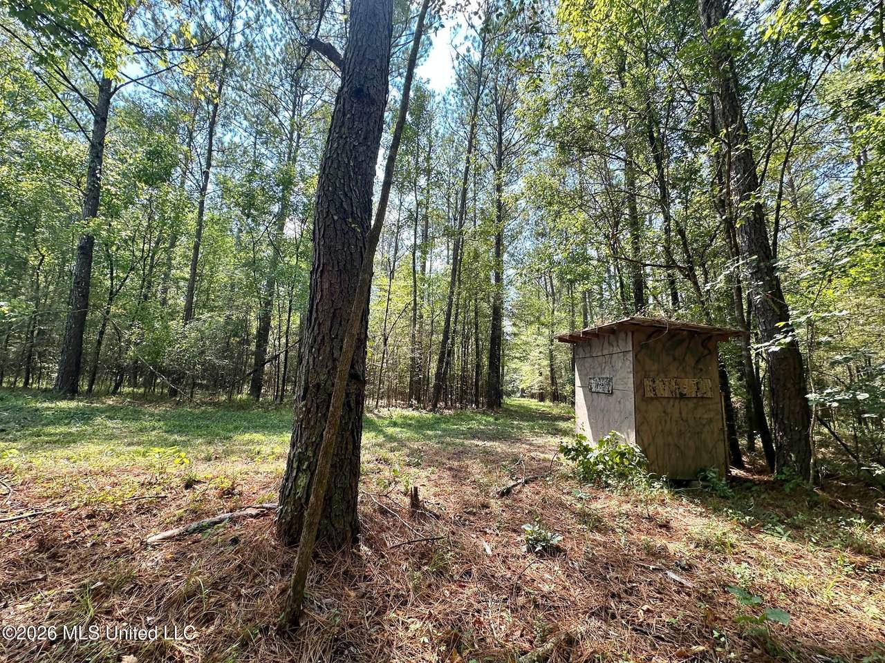 8 Forest Service Road 562 - Photo 1