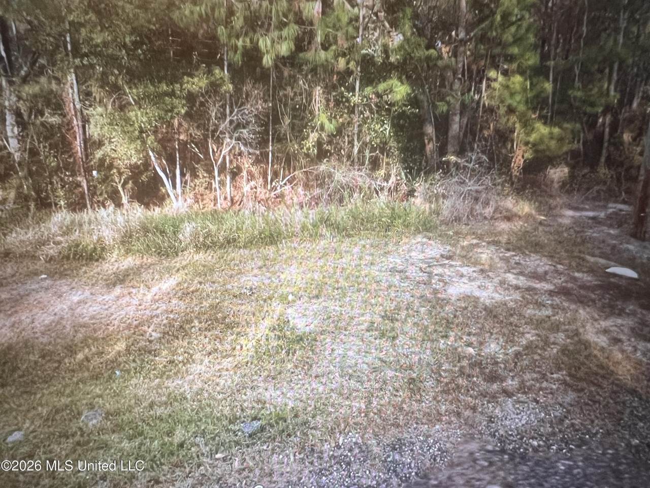 3078 Fifth Street - Photo 1