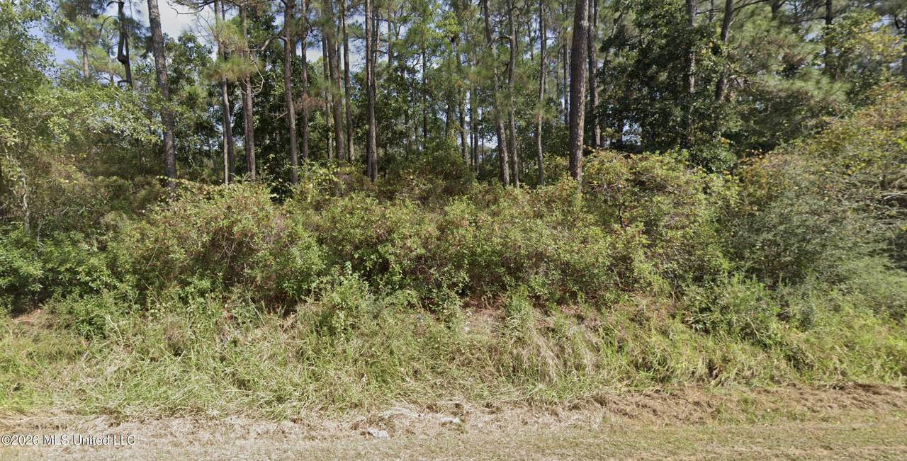  Pine Street Road - Photo 1